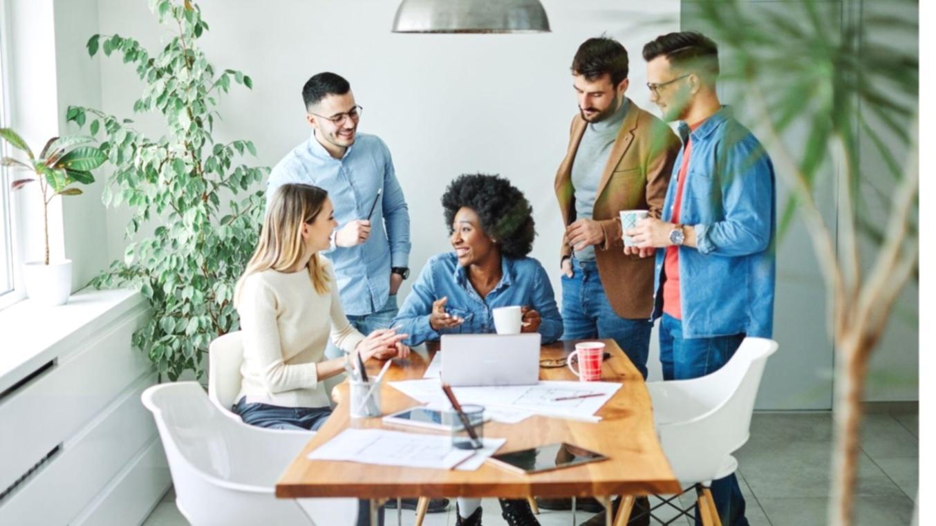 Разбор финансовой отчётности на экране во время вебинара